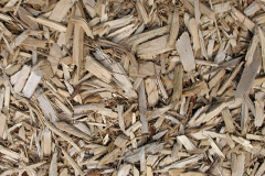 biomass boilers Malacleit